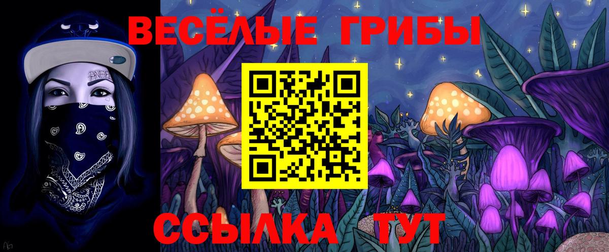 Долгопрудный  Псилоцибиновые грибы Magic Shrooms  Вход с VPN  Галлюциногенные грибы GOLDEN TEACHER 