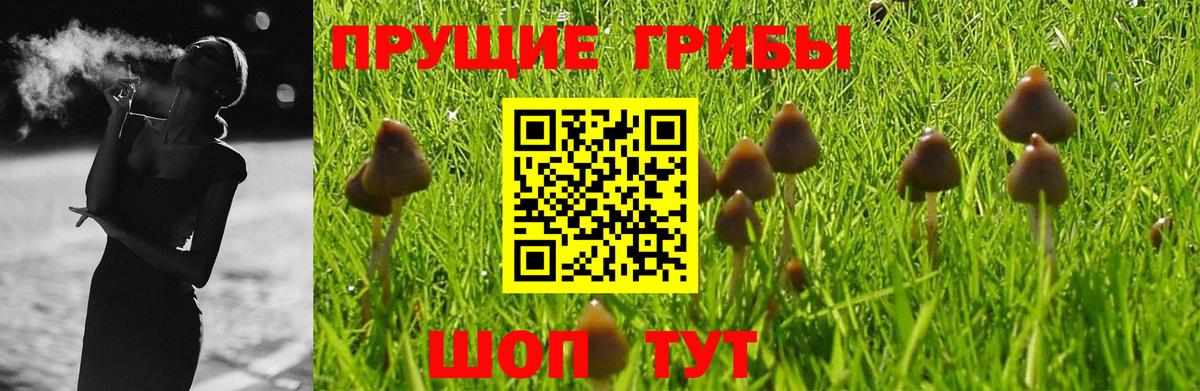 Псилоцибиновые грибы Magic Shrooms Долгопрудный